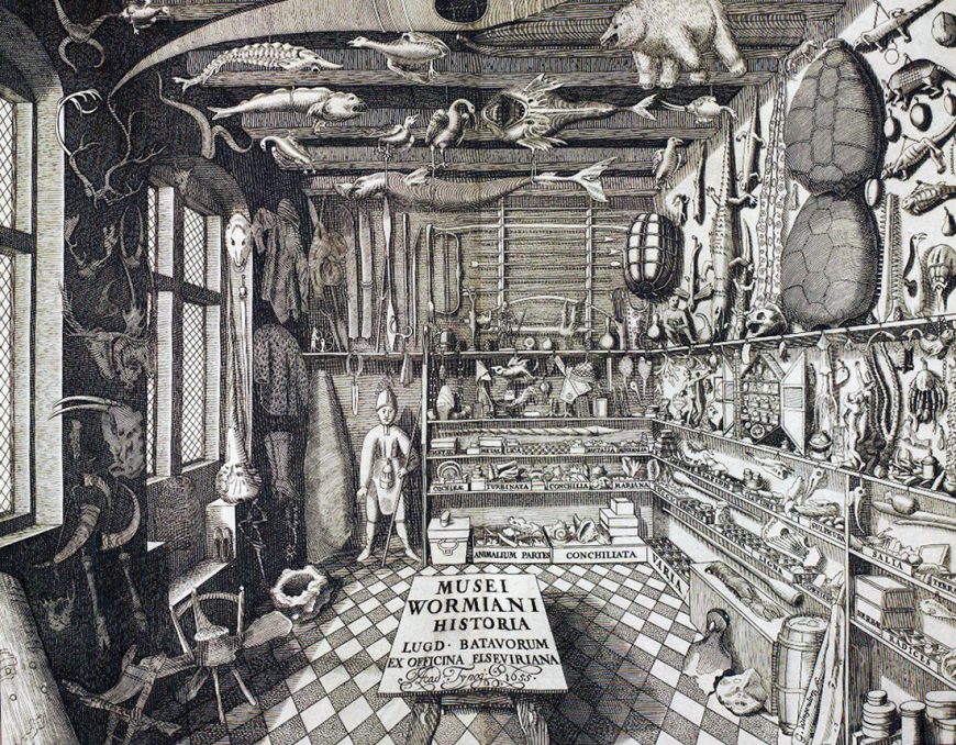 Frontispiece depicting Ole Worm's cabinet of curiosities, from Museum Wormianum, 1655 (Smithsonian Libraries). Ole Worm was a Danish physician and natural historian whose engravings of his collection was published in this volume after his death.