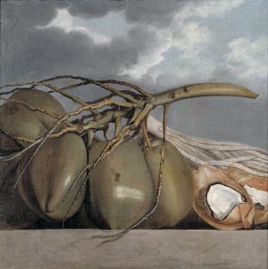 Albert Eckhout, Coconuts, c. 1637-44, oil on canvas, 92 x 93 cm (The National Museum of Denmark)