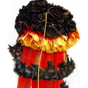 Munduruku headdress (detail)
