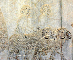 Assyrians with Rams, Apādana, Persepolis (photo: Simisa, CC BY-SA 3.0)