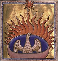 The phoenix from folio 56 recto of the Aberdeen Bestiary, written and illuminated in England around 1200. The Bestiary describes this magical bird as building its own funeral pyre and then rising from the ashes.