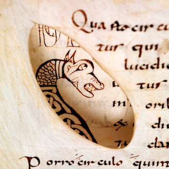 "Through-view" of an animal head initial. Eastern France, the first third of the ninth century (Bamberg, Staatsbibliothek, Msc.Nat. MS 1, fol. 25v and 26v).