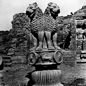 Lion Capital, Ashokan Pillar at Sarnath, c. 250 B.C.E., polished sandstone, 210 x 283 cm, Sarnath Museum, India (photo: AS Mysore for Vincent Arthur Smith, not in copyright – pre Independence princely state publication)