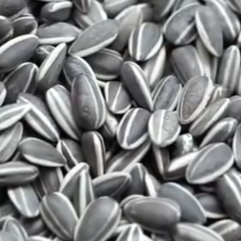 Ai Weiwei: <em>Sunflower Seeds</em>