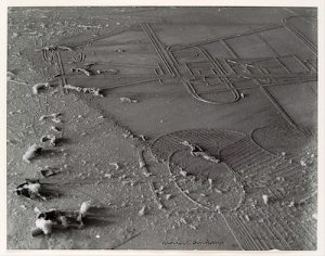 Man Ray, Dust Breeding, 1920, impreso c. 1967, impresión en gelatina plateada, 23.9 x 30.4 cm (El Museo Metropolitano de Arte)