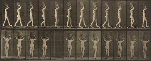 Eadweard Muybridge, Walking and Carrying a 15-lb. Basket on Head, Hands Raised, c. 1887, collotype, 16.8 x 41.8 cm (National Gallery of Art)