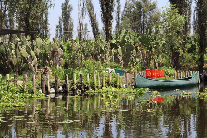 Traditional floating gardens (chinampas) in Xochimilco, Mexico City today (photo: Px-lga, CC BY-SA 4.0)
