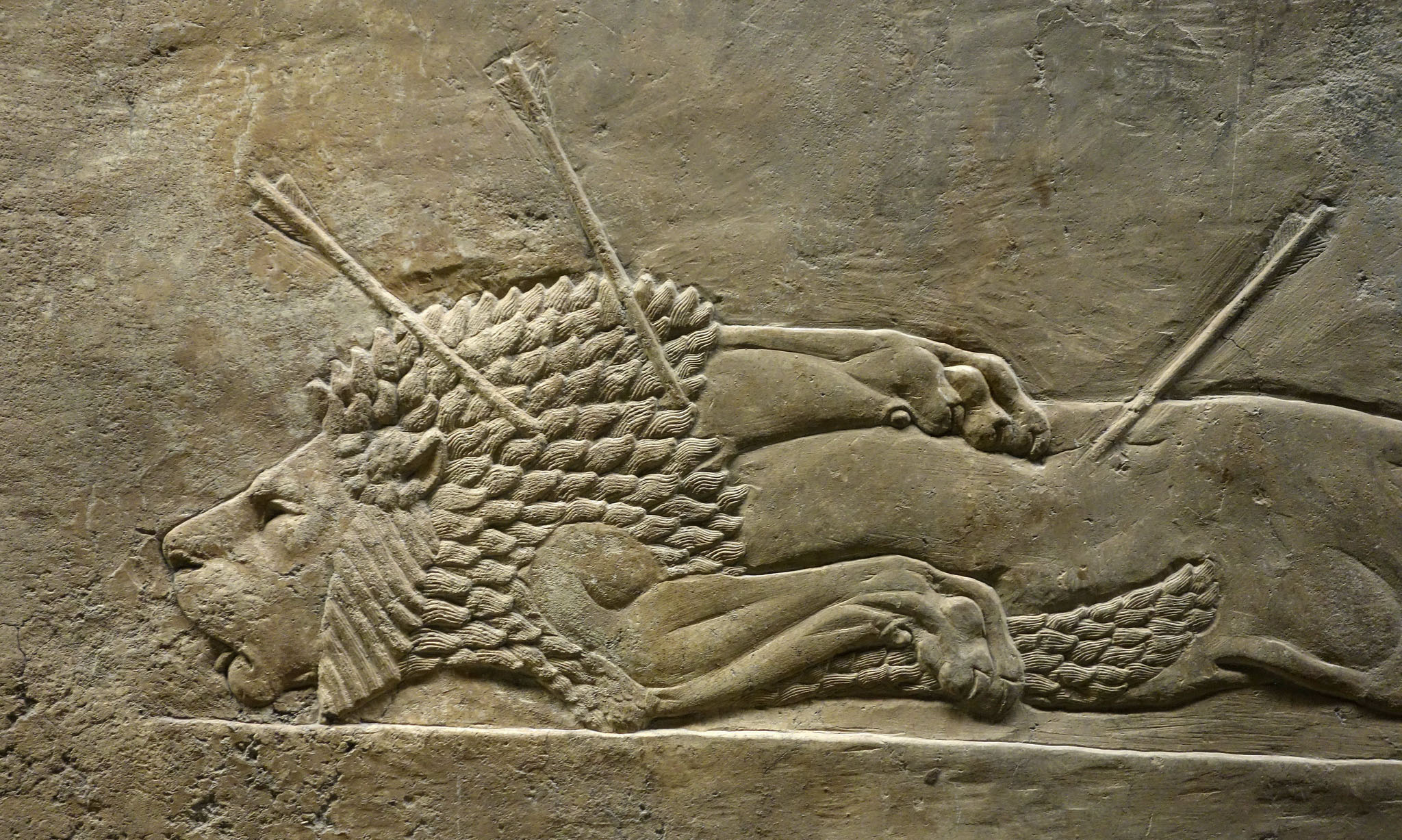 Lion pierced with arrows (detail), Lion Hunts of Ashurbanipal (ruled 669–630 B.C.E.), c. 645 B.C.E., gypsum,Neo-Assyrian, hall reliefs from Palace at Ninevah across the Tigris from present day Mosul, Iraq (British Museum) (photo: Steven Zucker, CC BY-NC-SA 2.0)