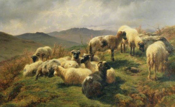 Rosa Bonheur, Sheep in the Highlands-detail