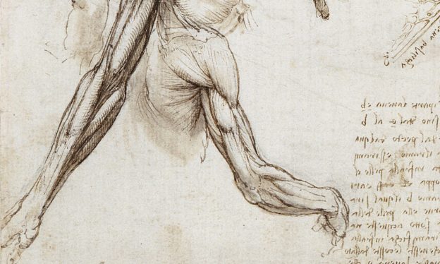 Smarthistory – Preparatory Drawing During The Italian Renaissance, An ...