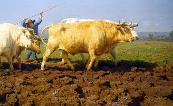 Rosa Bonheur, <em>Plowing in the Nivernais</em> (or <em>The First Dressing</em>)