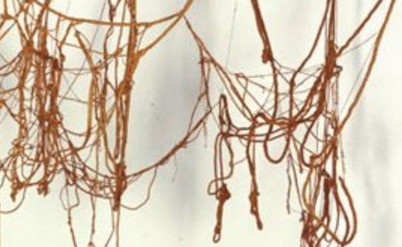 Eva Hesse, Untitled (Rope Piece), 1970, rope, latex, string, wire, variable dimensions (Whitney Museum of American Art, New York