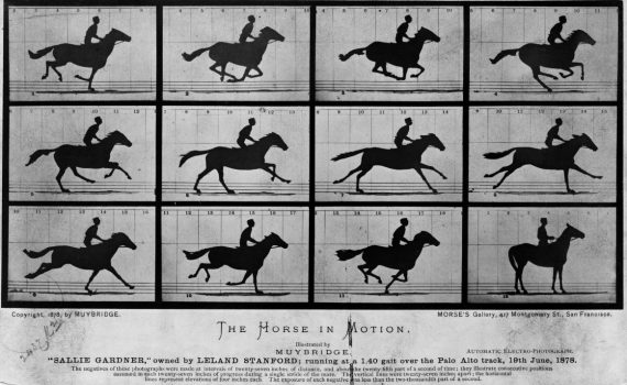 Eadweard Muybridge, The Horse in Motion ("Sallie Gardner," owned by Leland Stanford; running at a 1:40 gait over the Palo Alto track, 19th June 1878)