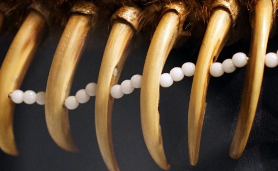 Bear Claw Necklace (Pawnee), before 1870, grizzly bear claws and hide, otter pelt, beads, cedar, tobacco and other materials (Denver Art Museum)
