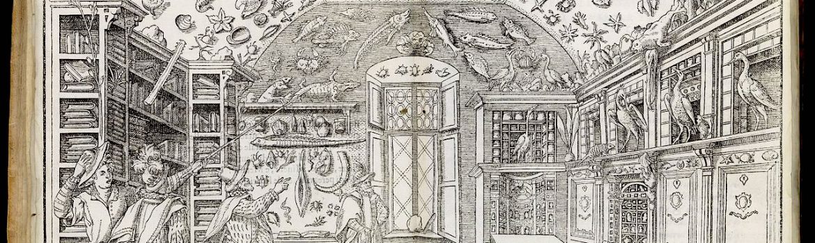 Woodcut of the Wunderkammer room, from Ferrante Imperato, "Dell'historia naturale..." Libri XXVIII (Naples, 1599) (photo: Wellcome Collection, CC BY 4.0)