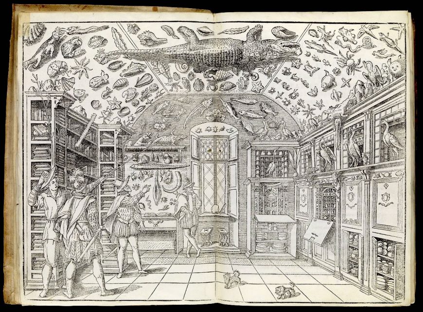 Woodcut of the Wunderkammer room, from Ferrante Imperato, "Dell'historia naturale..." Libri XXVIII (Naples, 1599) (photo: Wellcome Collection, CC BY 4.0)