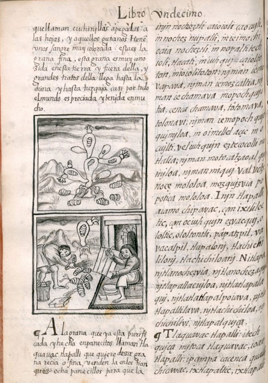 Bernardino de Sahagún, General History of the Things of New Spain : The Florentine Codex, Book III, p. 748.