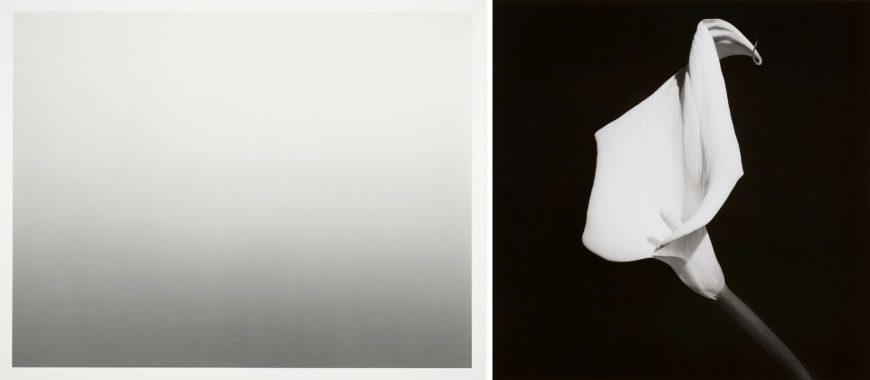 Left: Hiroshi Sugimoto, Atlantic Ocean, Cliffs of Moher, 1989, offset lithograph, 24 x 31 cm (Art Institute of Chicago) © Hiroshi Sugimoto; right: Robert Mapplethorpe, Calla Lily, 1987, gelatin silver print, 17.94 × 17.78 cm (Minneapolis Institute of Art) © Robert Mapplethorpe / The Robert Mapplethorpe Foundation