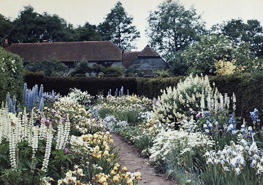The garden at Munstead Wood, photographed ca. 1912, detail. Originally thought to have been taken by Gertrude Jeykll, but later attributed to Herbery Cowley, then Country Life Gardens editor (image: © Country Life Picture Library)