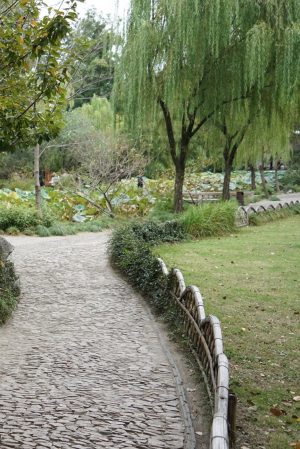 Winding Path under Willow, Garden of the Unsuccessful Politician 拙政园 (also translated as “The Humble Administrator's Garden”), Suzhou, China (image: 恋旧的马头的博客 edited)