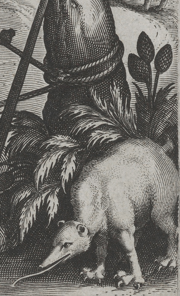 Theodoor Galle (después de Johannes Stradanus) “El descubrimiento de América”, detalle de oso hormiguero y piñas, de Nova Reperta, c. 1600, grabado, publicado por Philips Galle, 27 x 20 cm (El Museo Metropolitano de Arte)