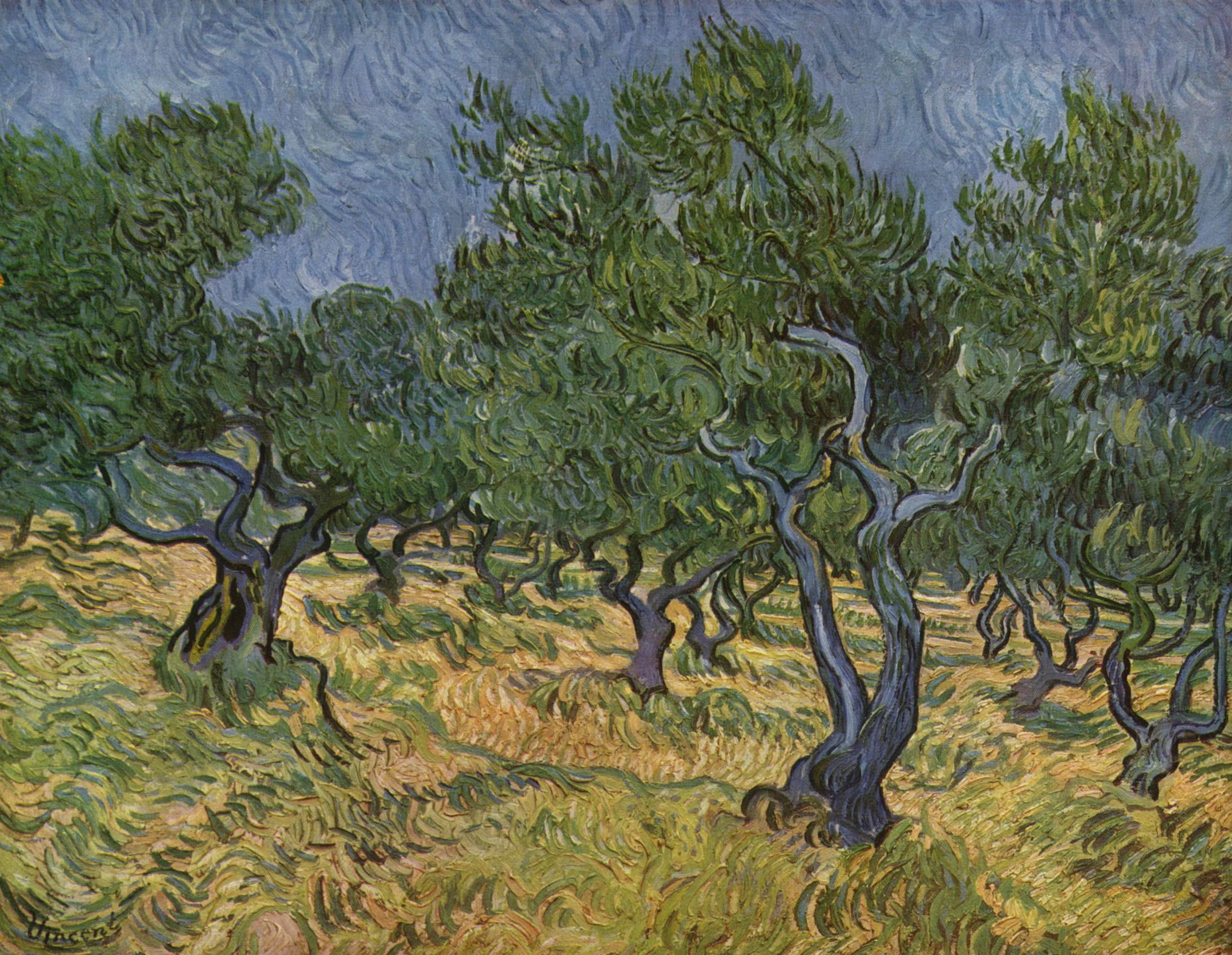 Vincent Van Gogh, Olive Trees, 1889, oil on canvas, 72.4 x 91.9 cm (Kröller Müller, Otterlo)