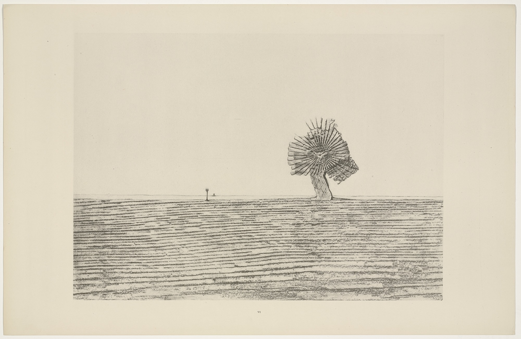Max Ernst, The Pampas from Natural History, published 1926 (MoMA)