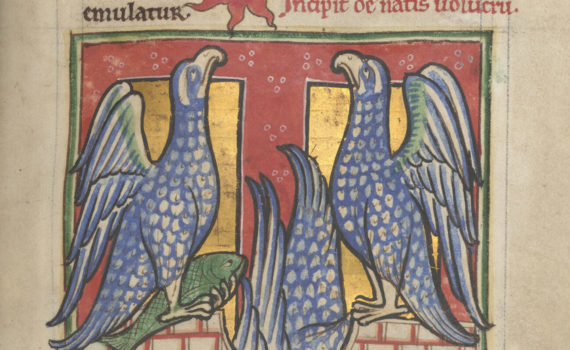 An Introduction to the Bestiary, Book of Beasts in the Medieval World