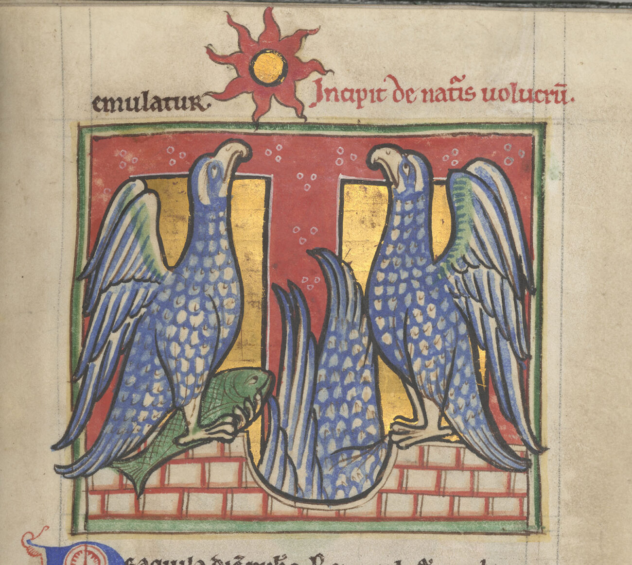 Eagles (detail) from a Workshop Bestiary, about 1185, unknown illuminator, made in England, vellum, 8 7/16 × 6 1/8 inches (The Morgan Library & Museum, New York, Ms. M.81, fol. 48)