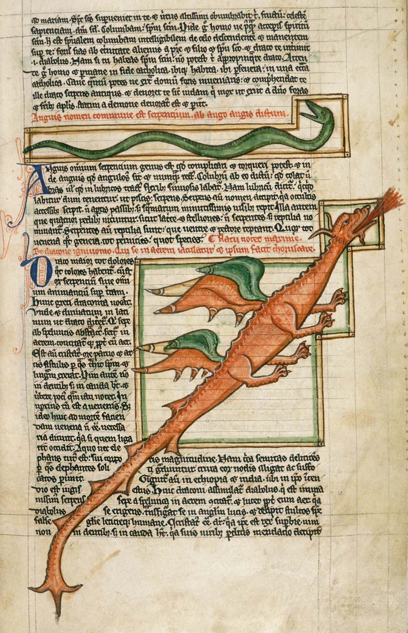 Dragon in a bestiary, about 1240–50, unknown illuminator, made in England, parchment, 11 × 6 1/2 inches (The British Library, London, Harley Ms. 3244, fol. 59.)