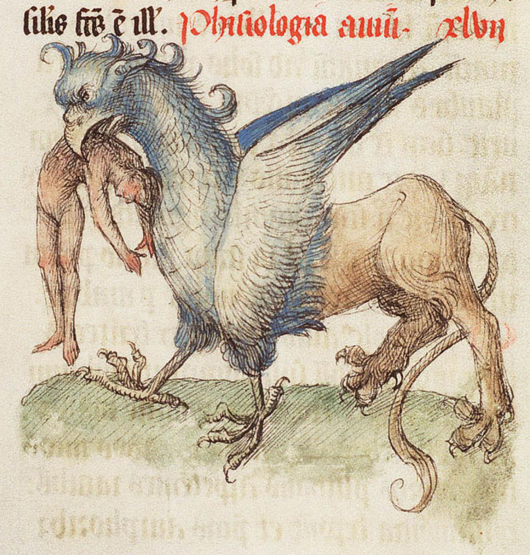 Griffin (detalle) de Libro de las Flores, 1460, iluminador desconocido, hecho en Francia y Bélgica. Pergamino, 16 1/16 × 11 1/4 pulgadas (La Haya, Koninklijke Bibliotheek, Biblioteca Nacional de los Países Bajos, Ms.72 A 23, fol. 46)