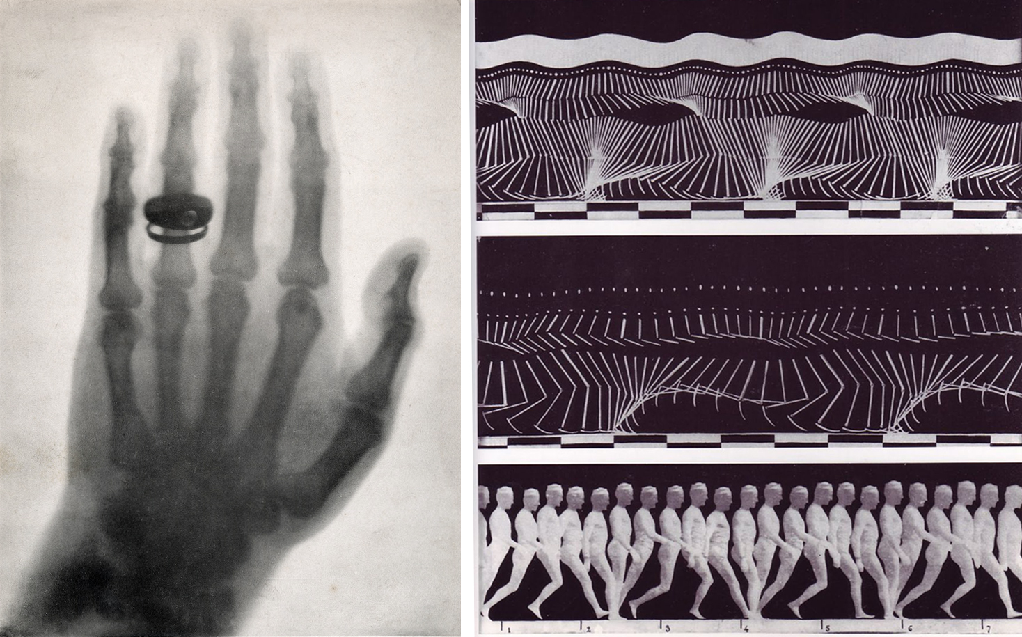 Left: Wilhelm Röntgen, X-ray photograph of the hand of Albert von Kölliker, from Eine Neue Art von Strahlen (Würzburg, 1895); Right: Étienne-Jules Marey, photographs showing human locomotion, c. 1895