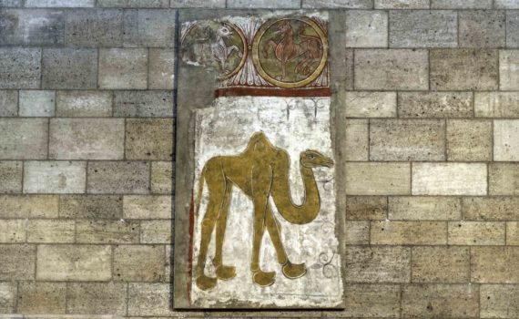Camel from San Baudelio de Berlanga