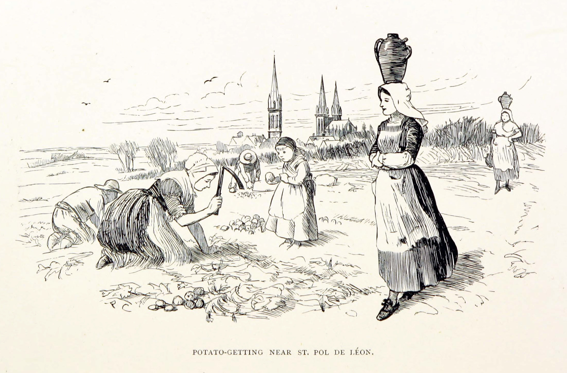 Randolph Caldecott, Potato-Getting Near St. Pol de Léon, from Breton Folk (1881), p. 74
