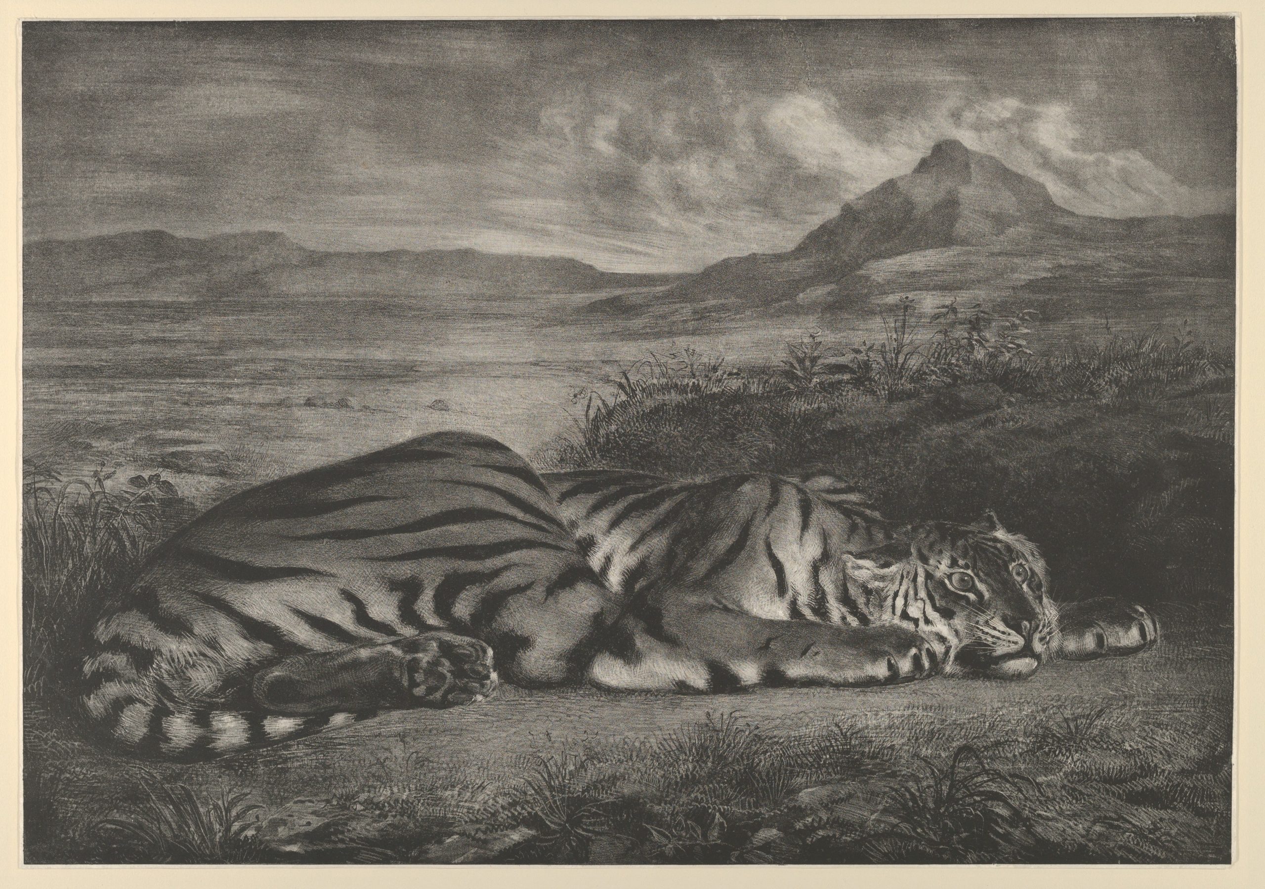 Eugène Delacroix, Royal Tiger, 1829, lithograph, 33.2 x 47.3 cm (The Metropolitan Museum of Art) 
