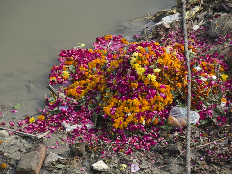 Discarded flowers, Varanasi (Banaras) India, 2011 (photo: Eric Parker, CC BY-NC 2.0)