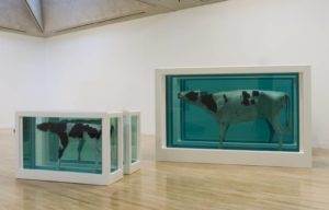 Damien Hirst, Mother and Child (Divided), exhibition copy 2007 (original 1993), glass, stainless steel, Perspex, acrylic paint, cow, calf and formaldehyde solution, 2 parts: 208.6 × 322.5 × 109.2 cm, 208.6 × 322.5 × 109.2 cm (Tate Britain)
