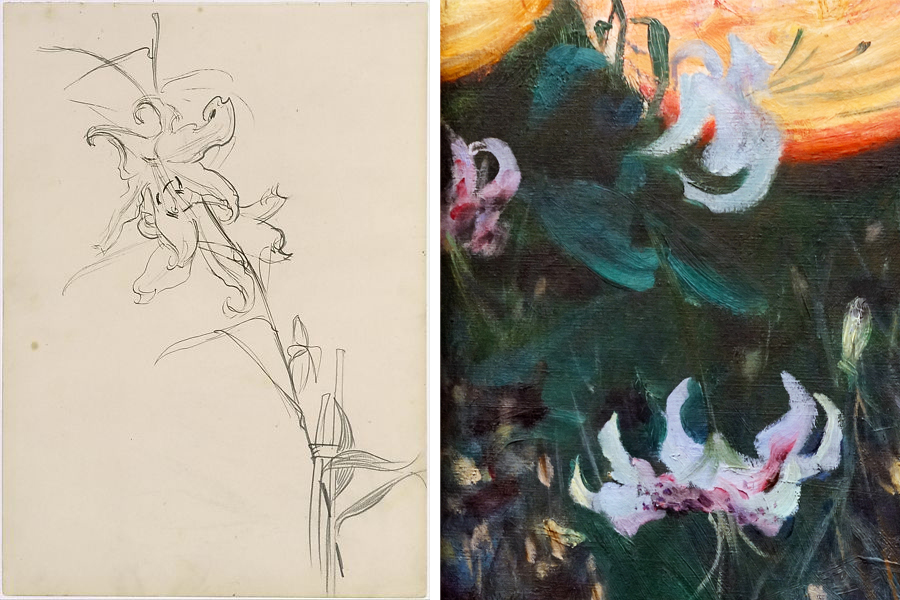 Left: John Singer Sargent, Lily, Study for "Carnation, Lily, Lily, Rose,” 1885–86, graphite, pen, and ink on off-white wove paper, 34.4 x 24.6 cm (The Metropolitan Museum of Art, New York); Right: John Singer Sargent, Carnation Lily, Lily, Rose, detail, 1885-86, oil on canvas, 174 x 153.7 cm (Tate Britain)