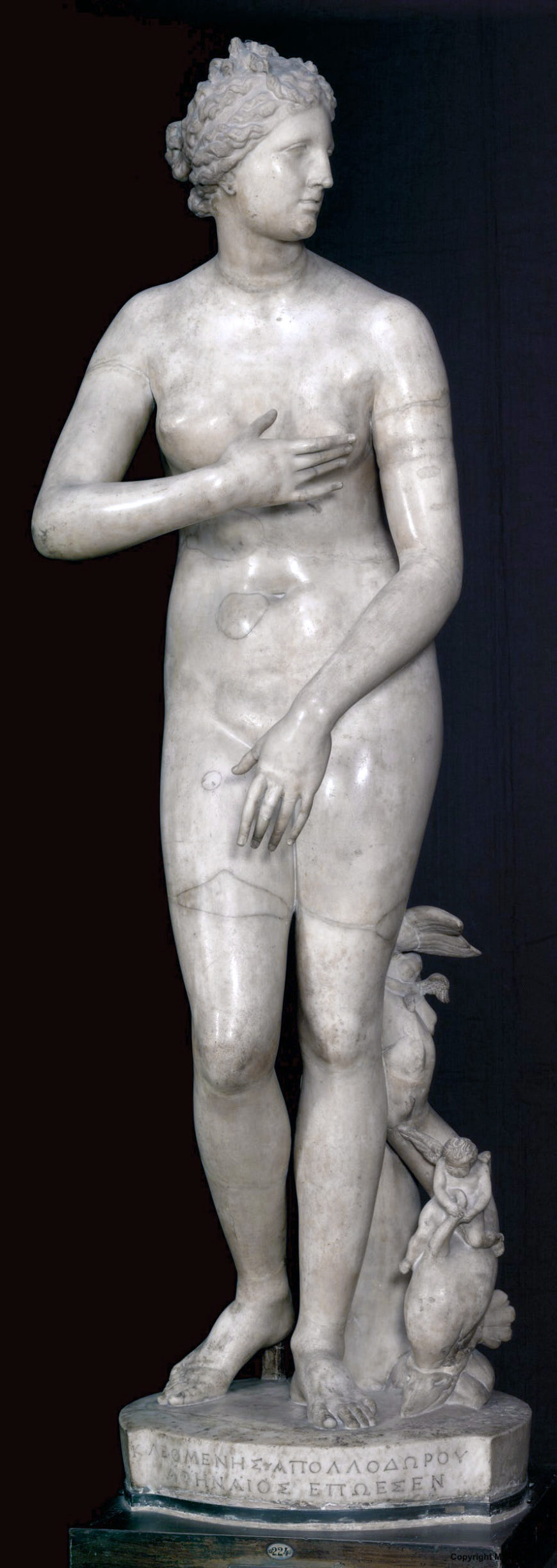 Medici Venus, late 2nd to early 1st century B.C.E. marble, 153 cm (Hellenistic copy after Praxiteles’ Aphrodite of Knidos, 4th century B.C.E.; Galleria degli Uffizi, Florence) 