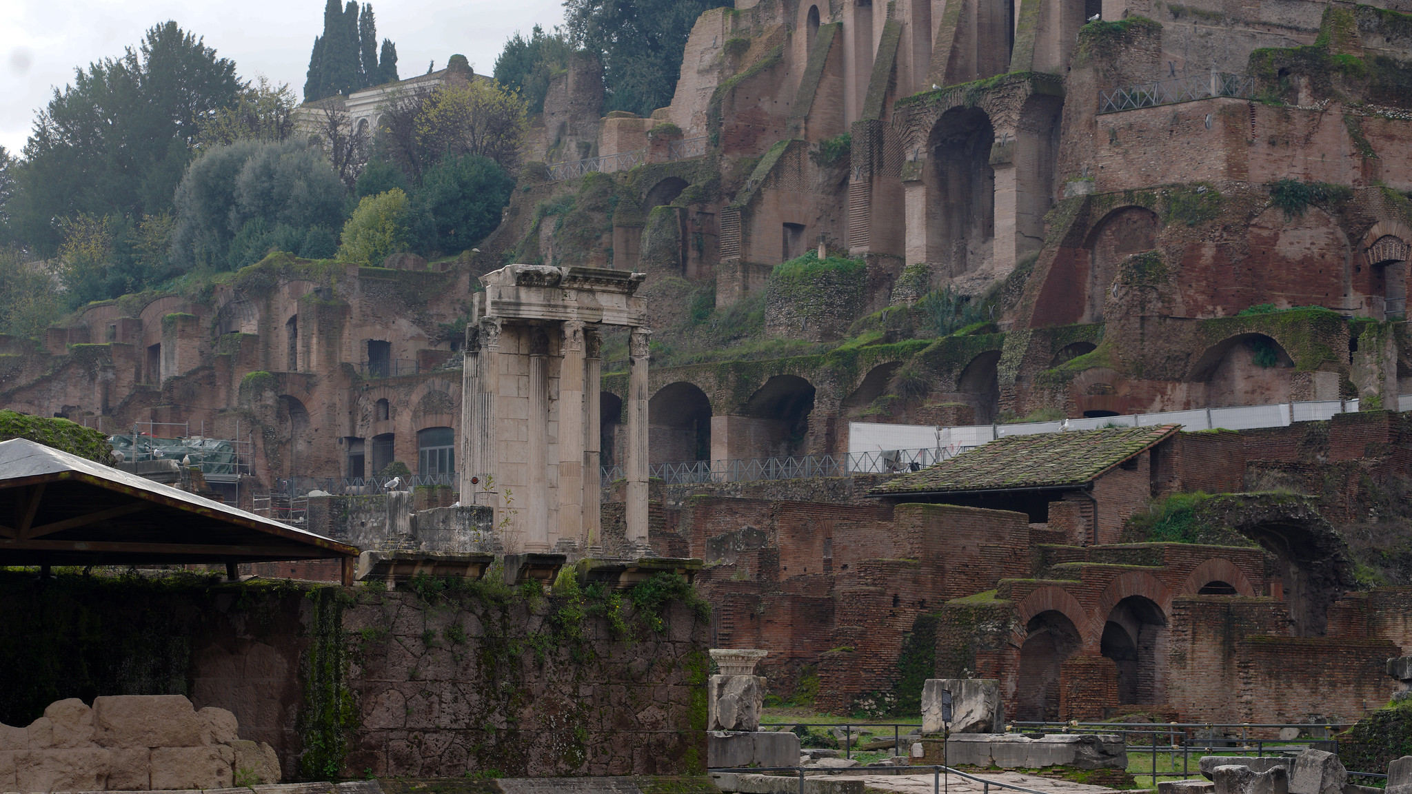 A Renaissance scholar helps build virtual Rome