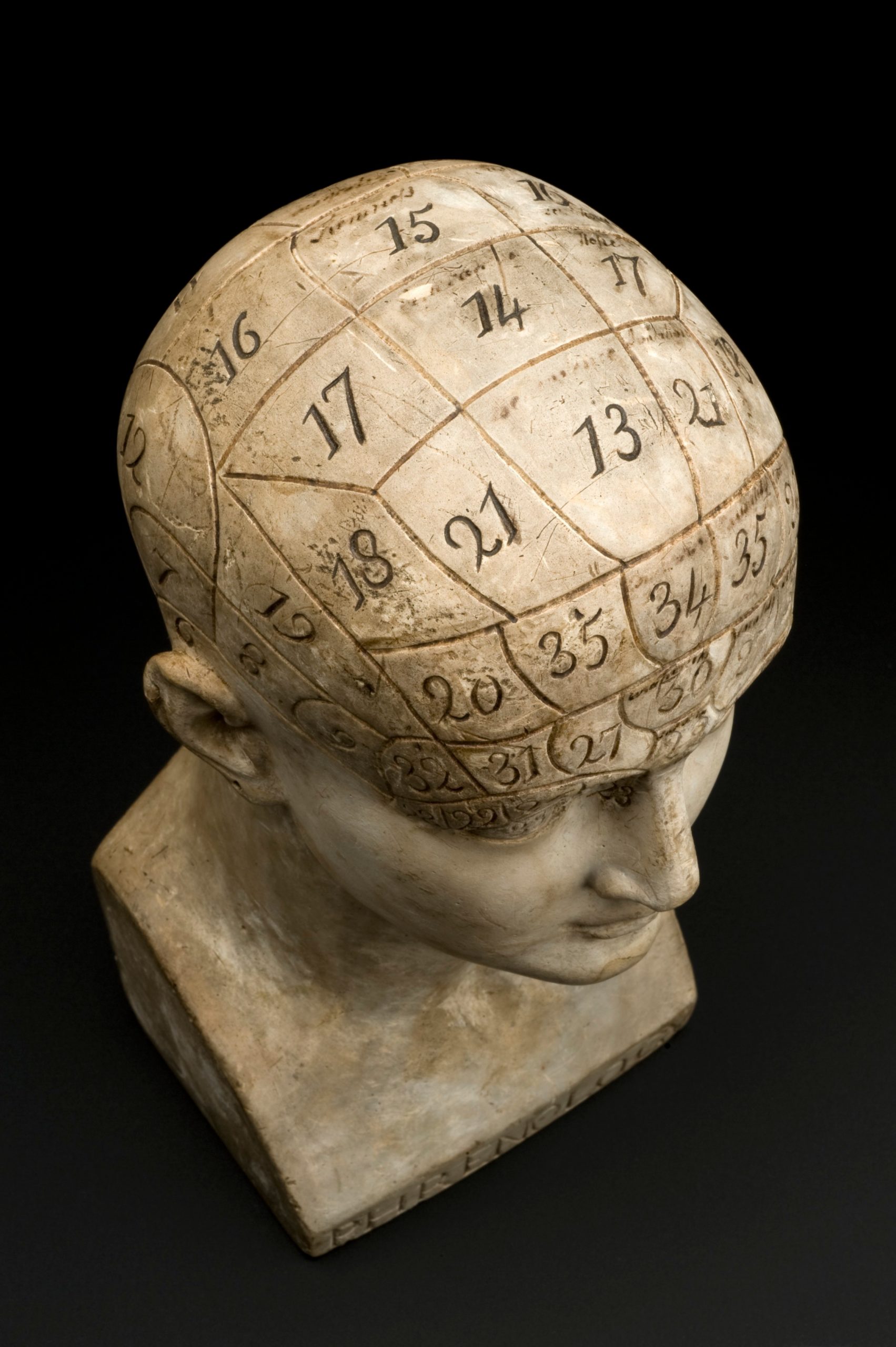 Earthenware phrenological bust, areas are marked off with an impressed line, by J. De Ville, London, 1821