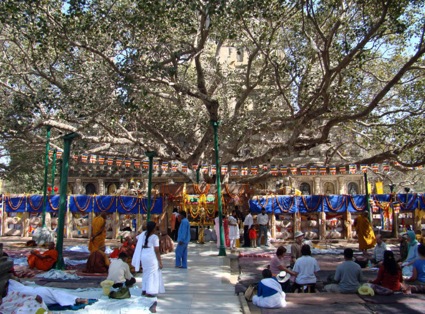Buddhist convention in front of the Bodhi tree at Bodh Gaya, 2013 (photo: Triratna_Photos, CC BY-NC 2.0)