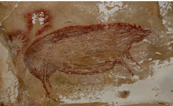 Oldest cave art found in Sulawesi, Indonesia