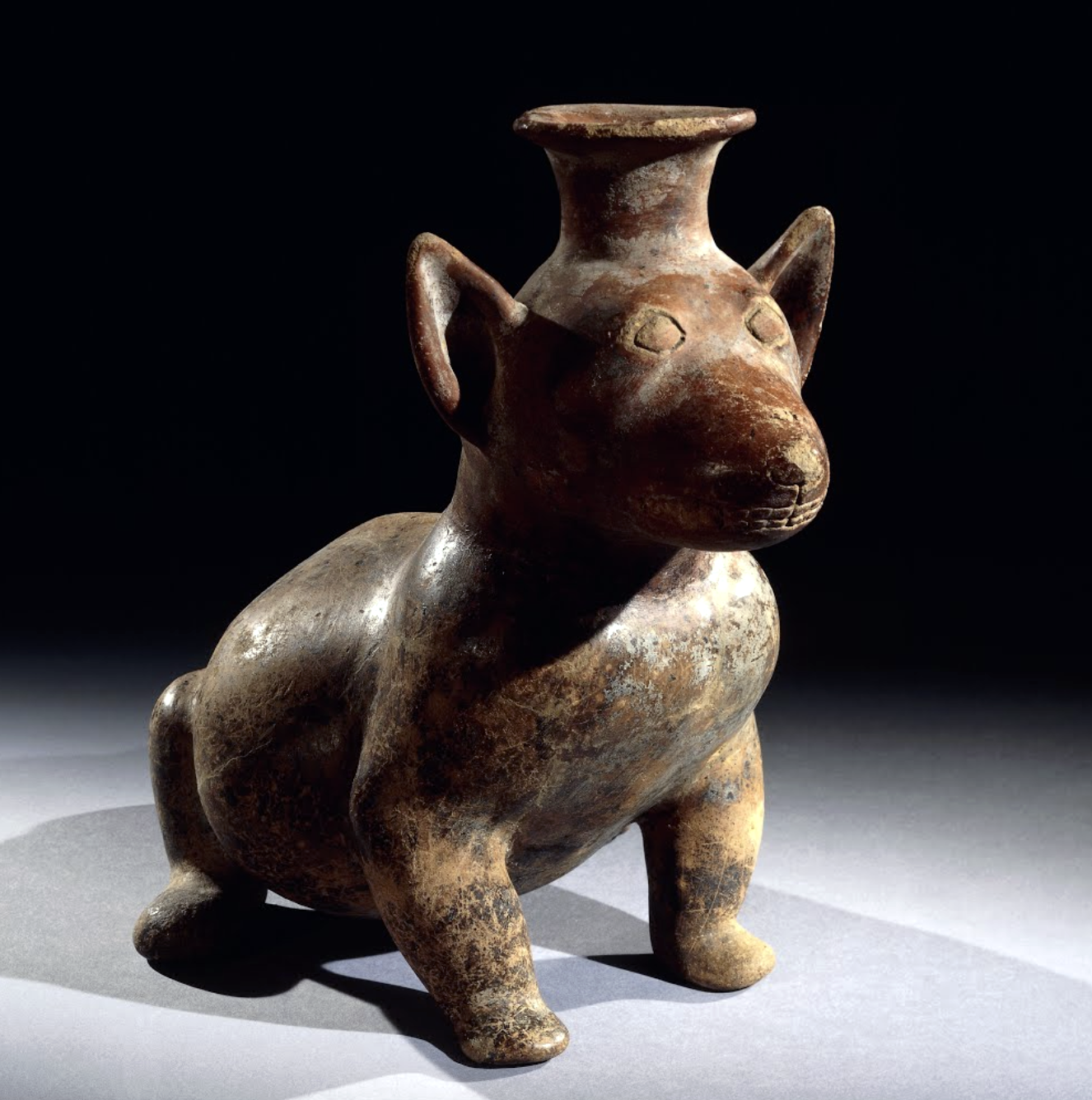 Dog, Colima culture, c. 300 B.C.E.–300 C.E., slipped pottery,  Mexico, from Colima, 36 cm in diameter (© Trustees of the British Museum)