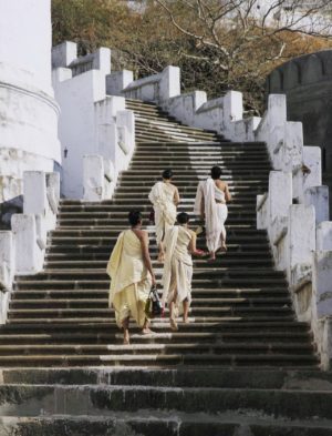 Pilgrims ascending from Palitana (photo: Andrea Kirby, CC BY-NC 2.0)