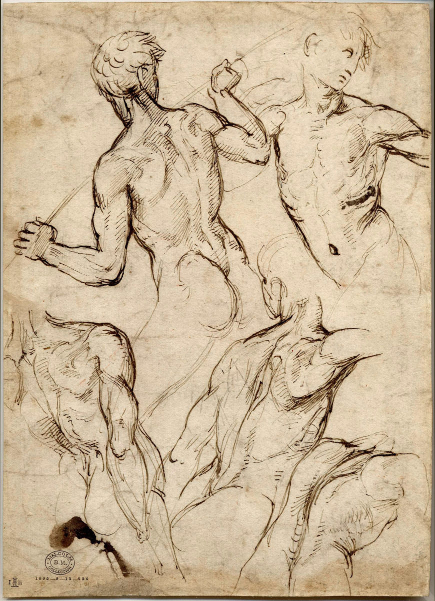 Raphael, 1505–06, Torsos of five nude men in action showing straining musculature, pen and brown ink, 26.9 x 19.5 cm (© Trustees of the British Musuem)