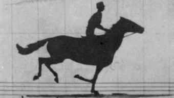 A .gif of 1 to 11 of Eadweard Muybridge, The Horse in Motion (“Sallie Gardner,” Owned by Leland Stanford; Running at a 1:40 Gait Over the Palo Alto Track, 19th June 1878), 1878, albumen print (Library of Congress, Washington, D.C.)