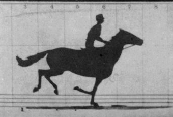 A gif showing Eadweard Muybridge, The Horse in Motion (“Sallie Gardner,” Owned by Leland Stanford; Running at a 1:40 Gait Over the Palo Alto Track, 19th June 1878), 1878. Library of Congress Prints and Photographs Division