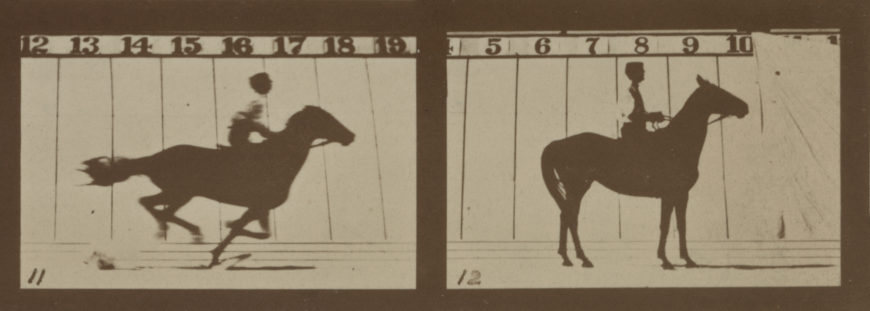 Eadweard Muybridge, The Horse in Motion (“Sallie Gardner,” Owned by Leland Stanford; Running at a 1:40 Gait Over the Palo Alto Track, 19th June 1878), 1878. Library of Congress Prints and Photographs Division