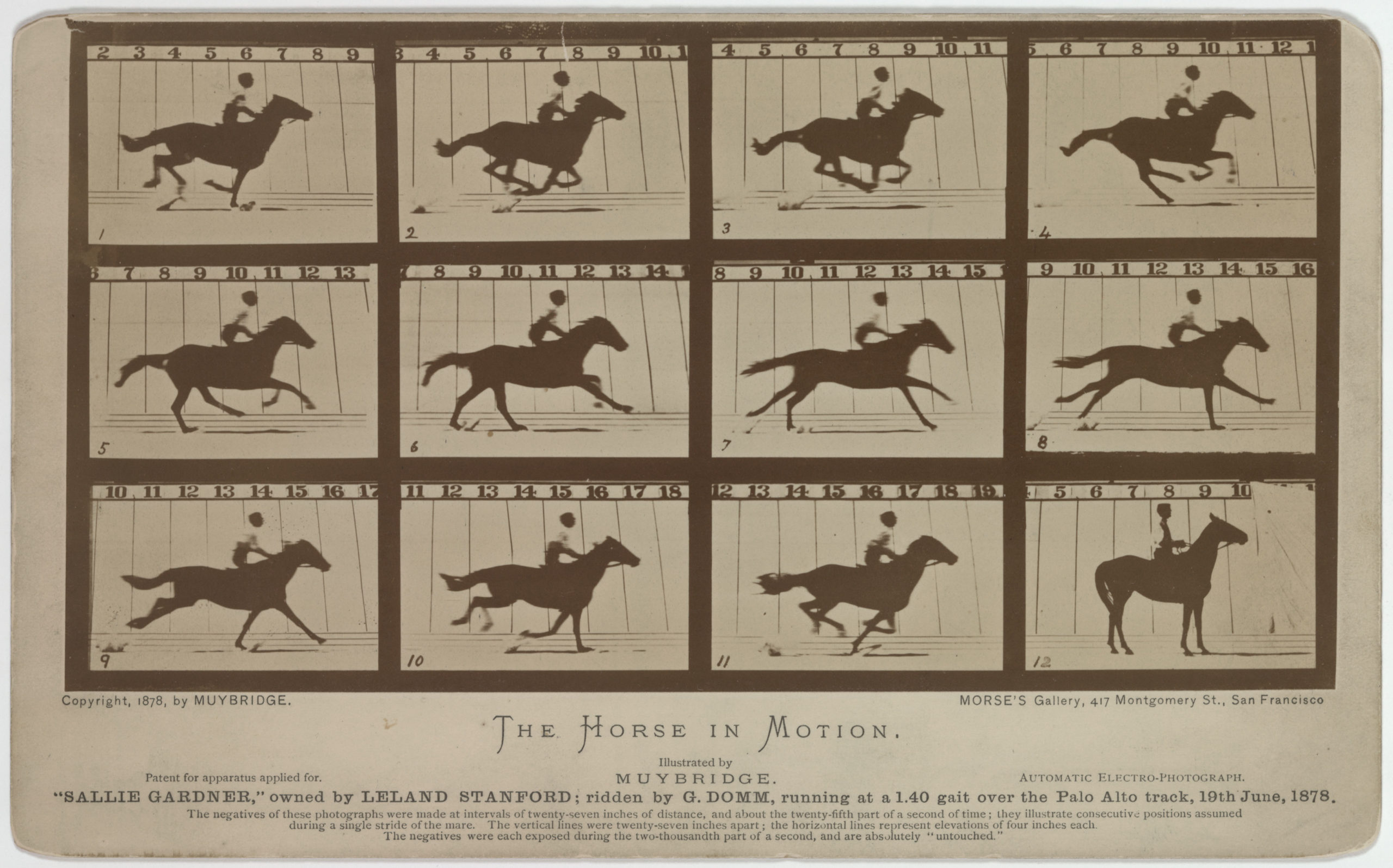 Eadweard Muybridge, The Horse in Motion – Smarthistory